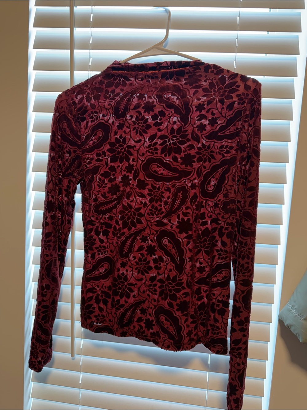 Anthropologie Burgundy Velvet Paisley Burnout Long Sleeve Top